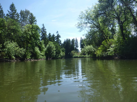 View of the Tualatin River from the Cook Park area